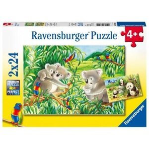 Ravensburger Puzzle 2x24 dílků Roztomilé koaly a pandy